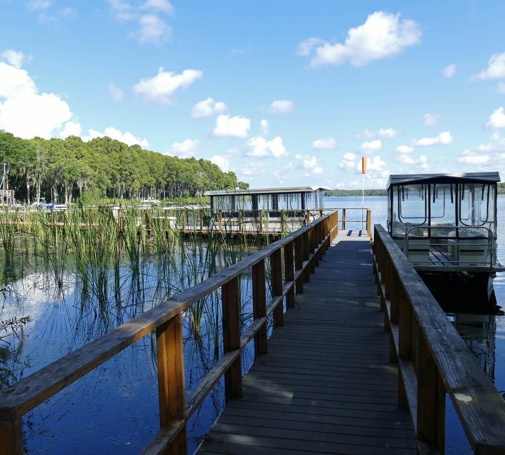 Lake Tarpon