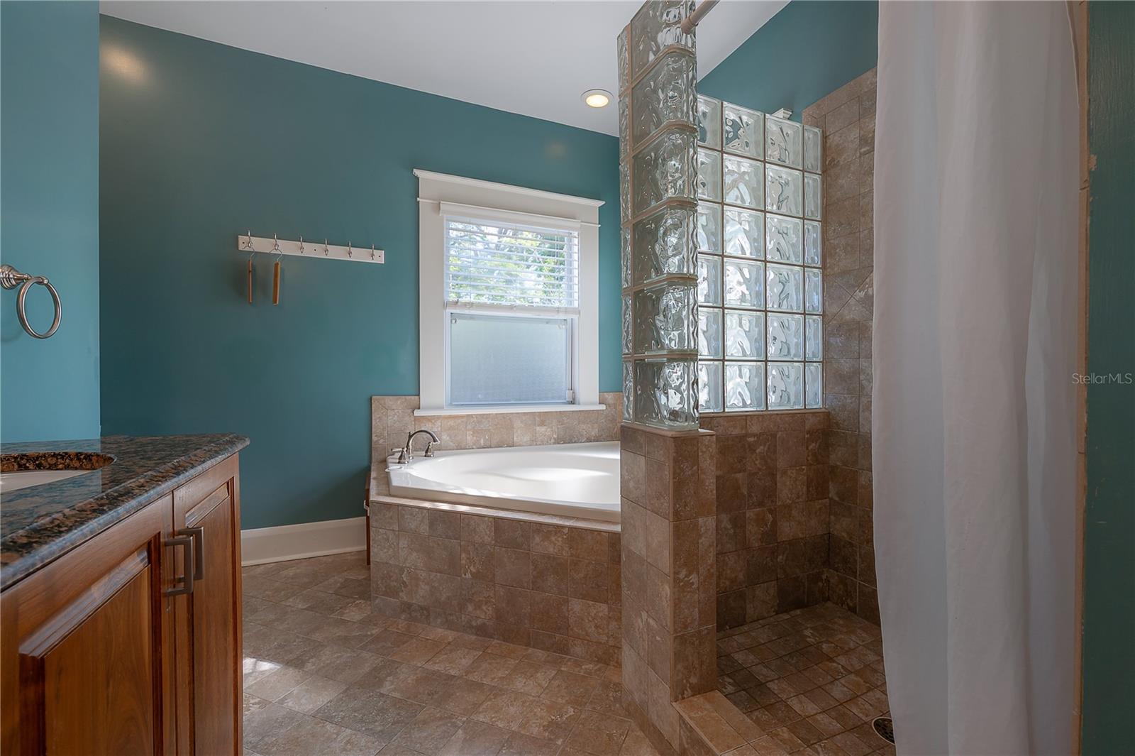 Primary en-suite bathroom with a shower and a tub