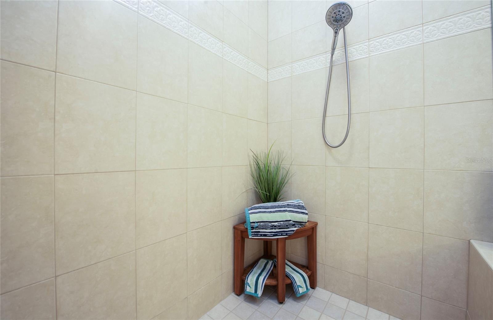 Seat in master shower