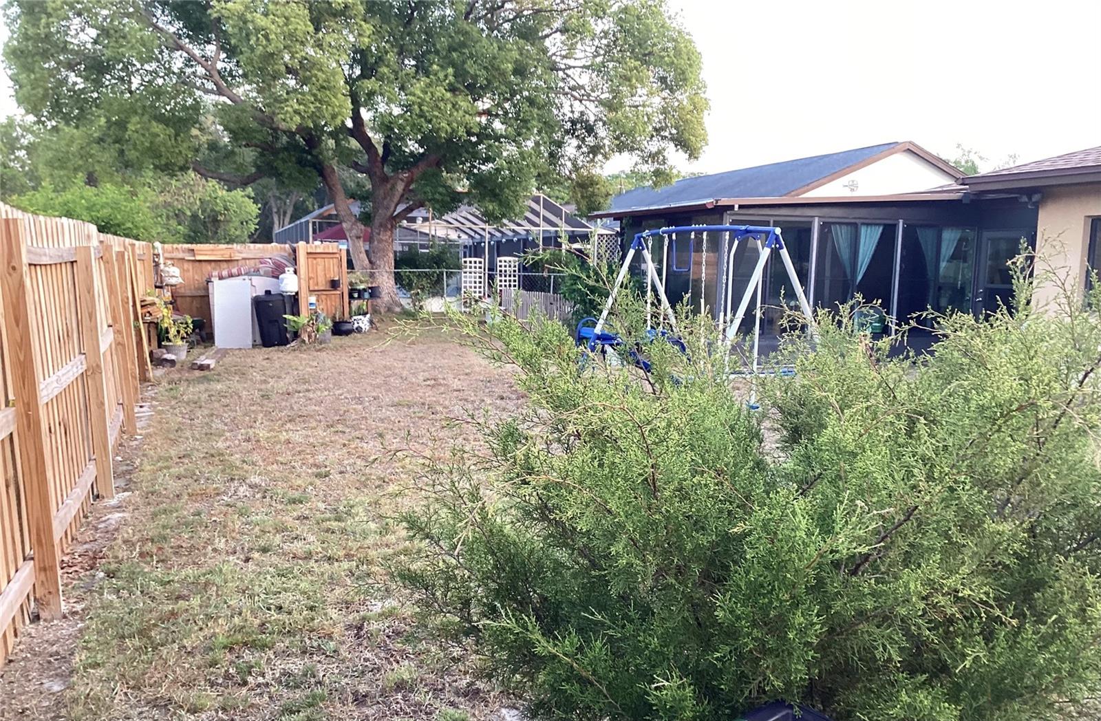 Backyard
