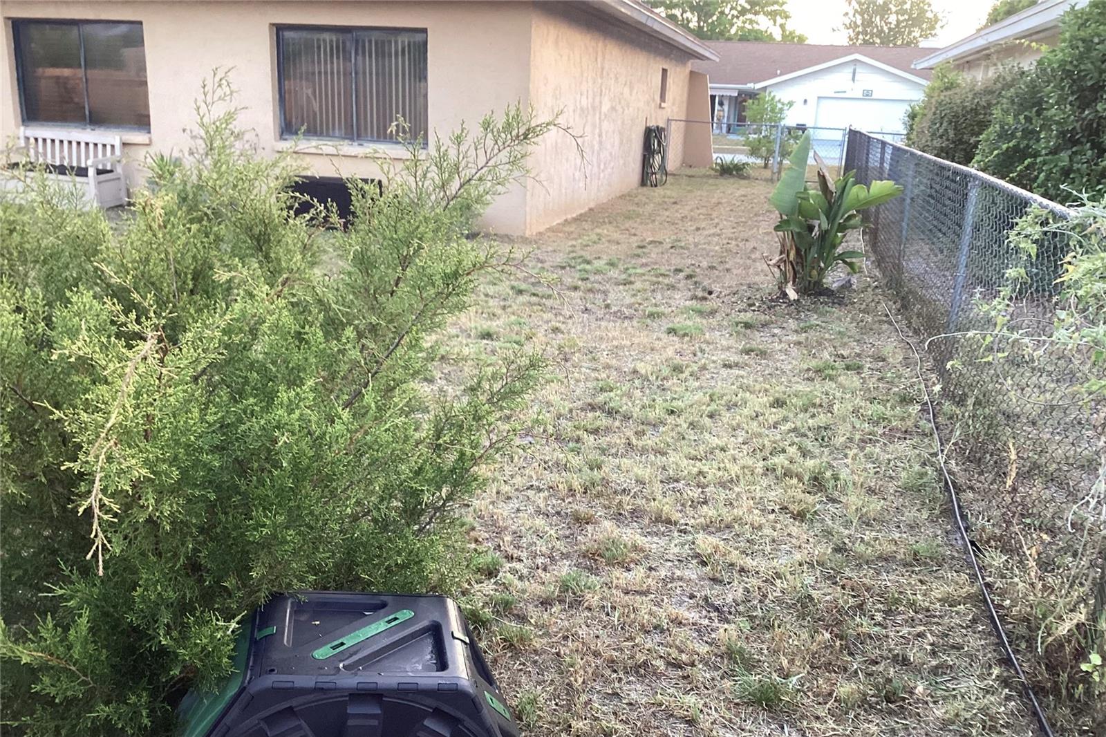 Backyard