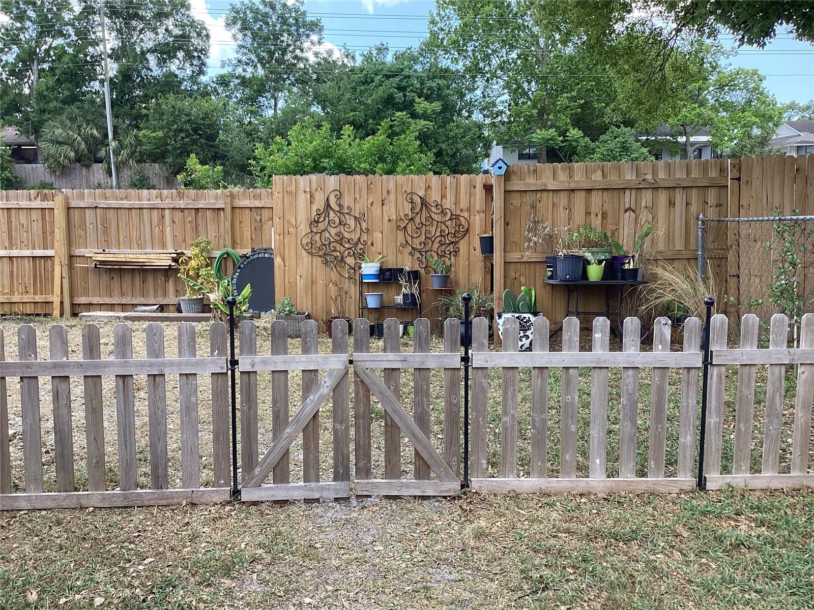 Backyard