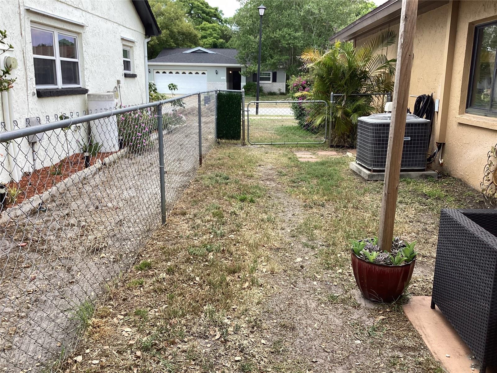 Backyard