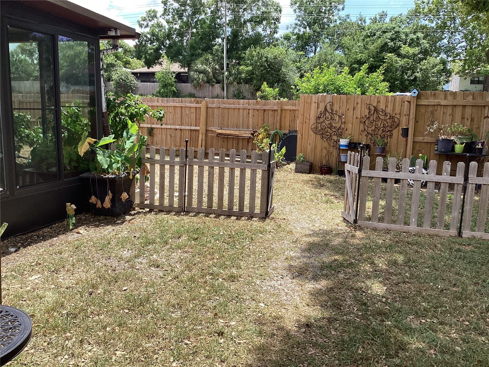 Backyard