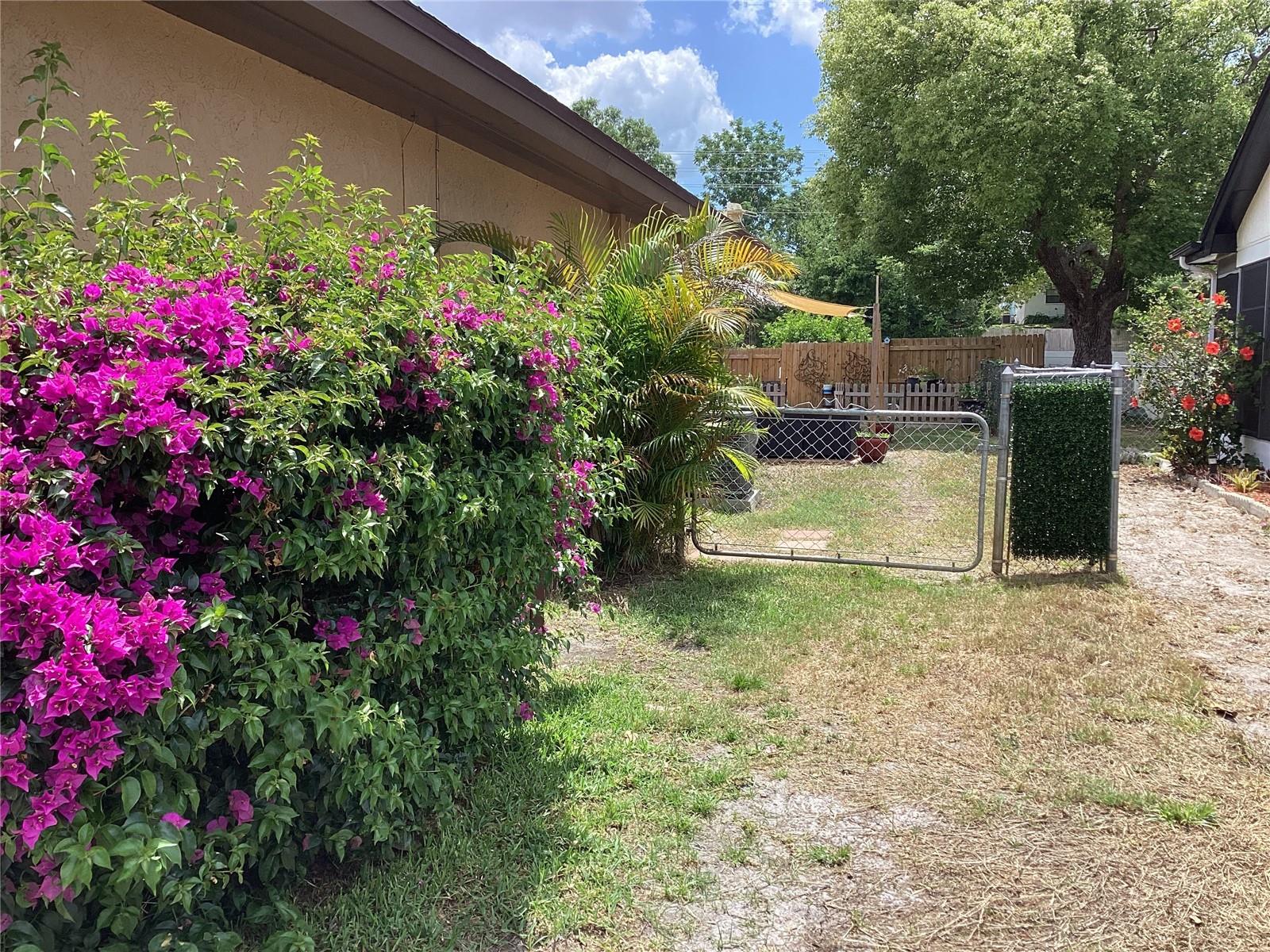 Sideyard