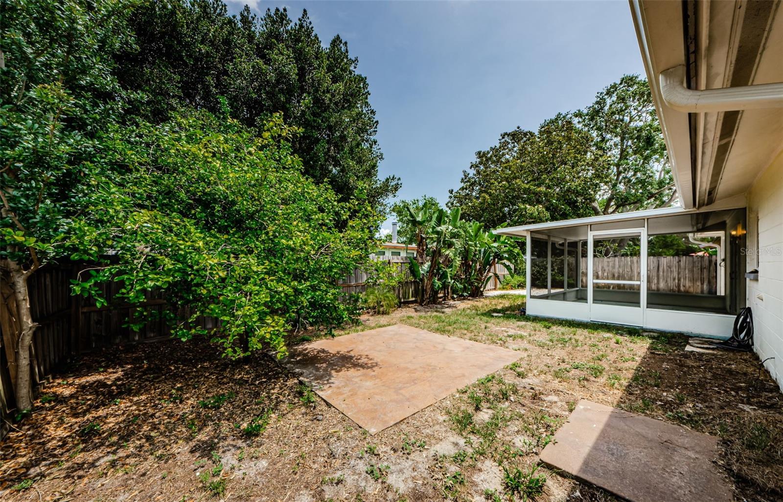 Fenced back yard