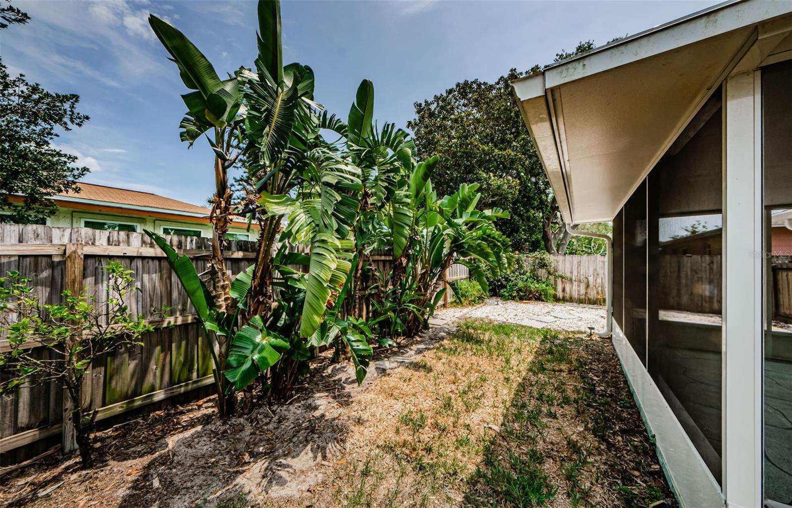 Backyard lush landscaping