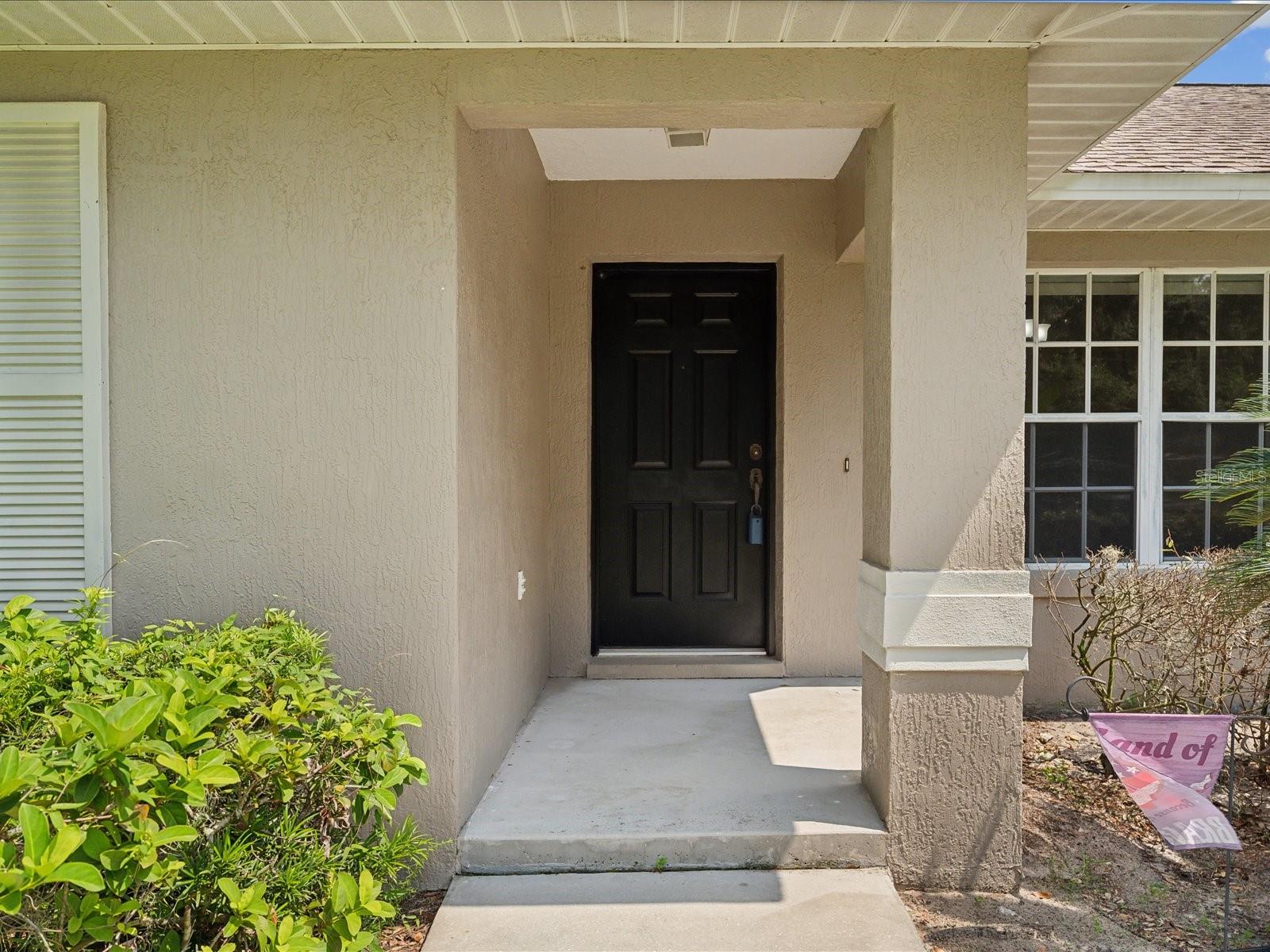 Main Entrance Door