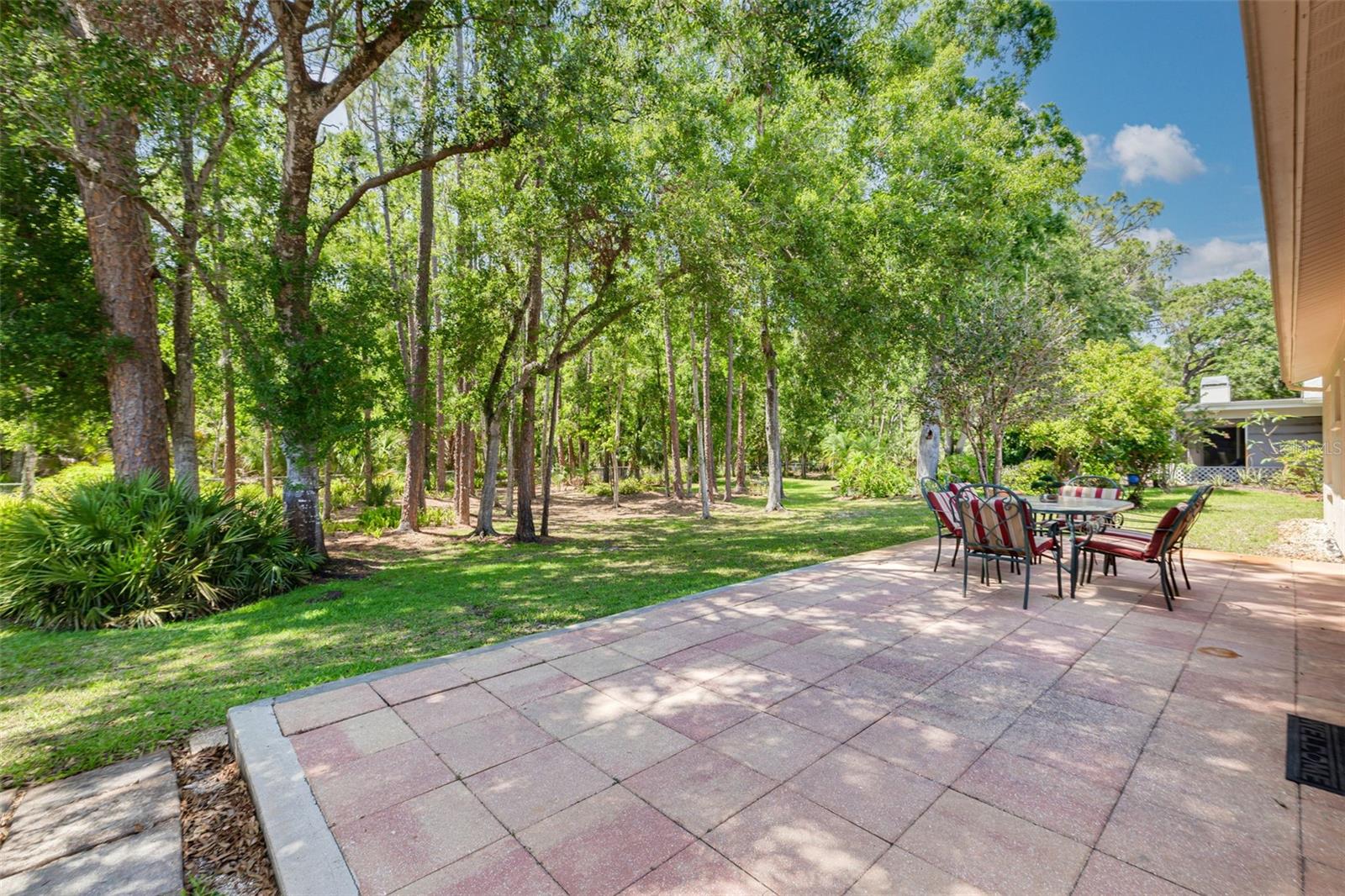 Park-like setting in the back yard! Adjacent to John Chesnut Park so it will be wild forever!
