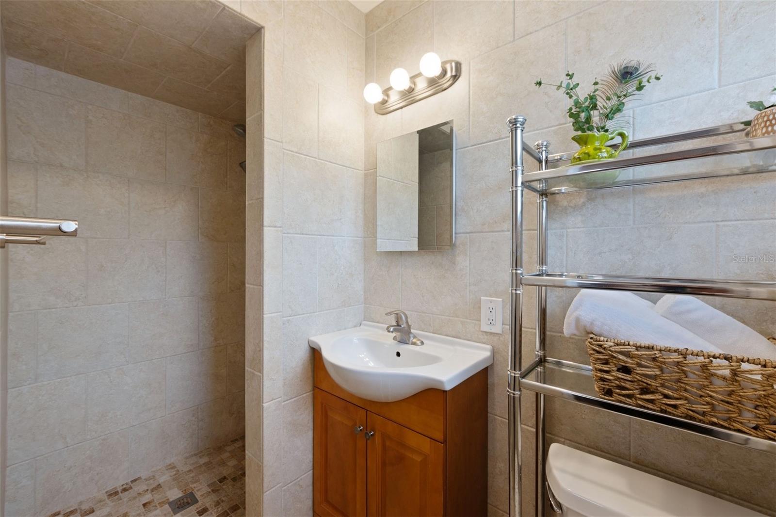 Primary suite bath w/ walk-in shower