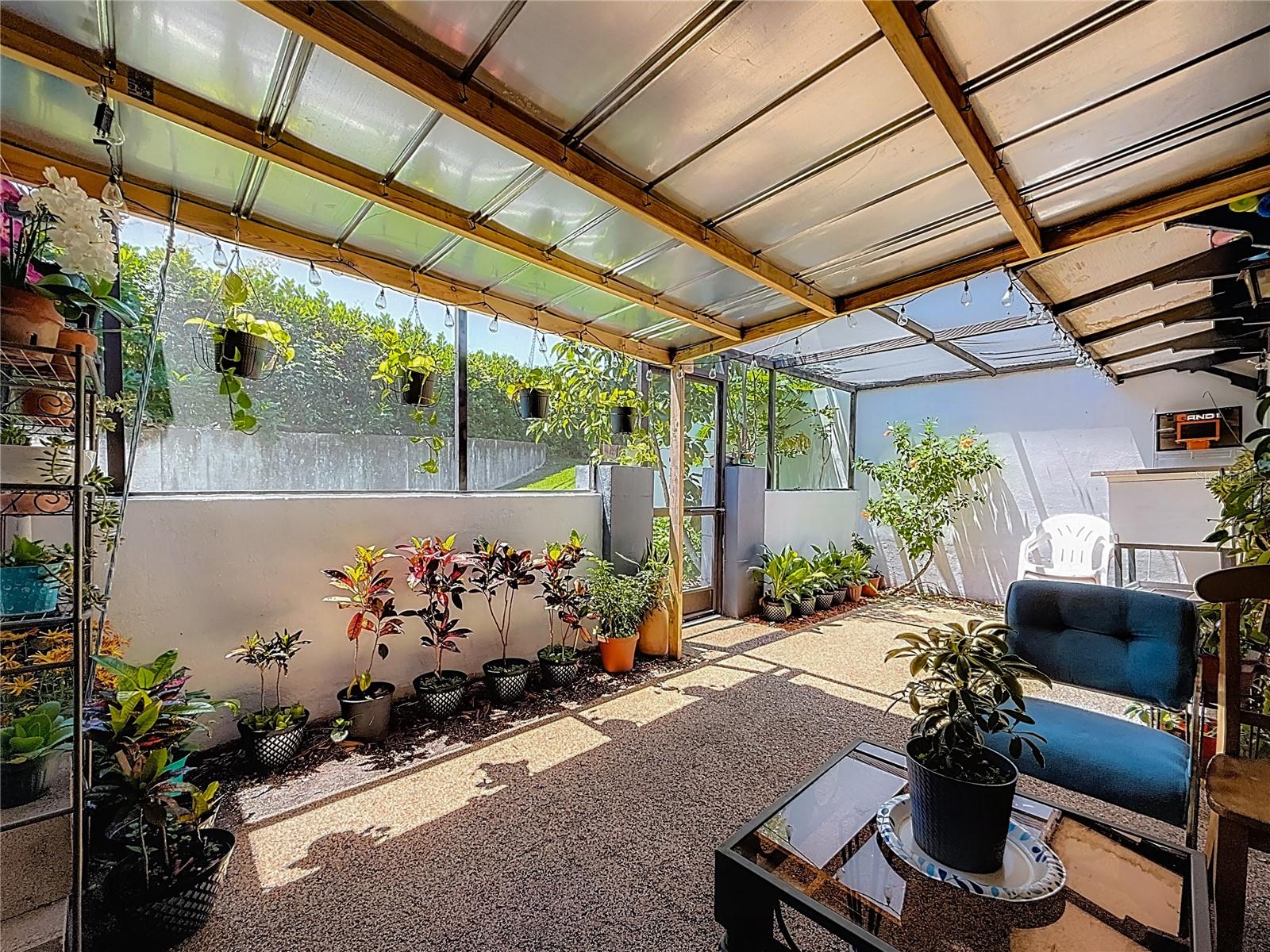Outdoor Living Area