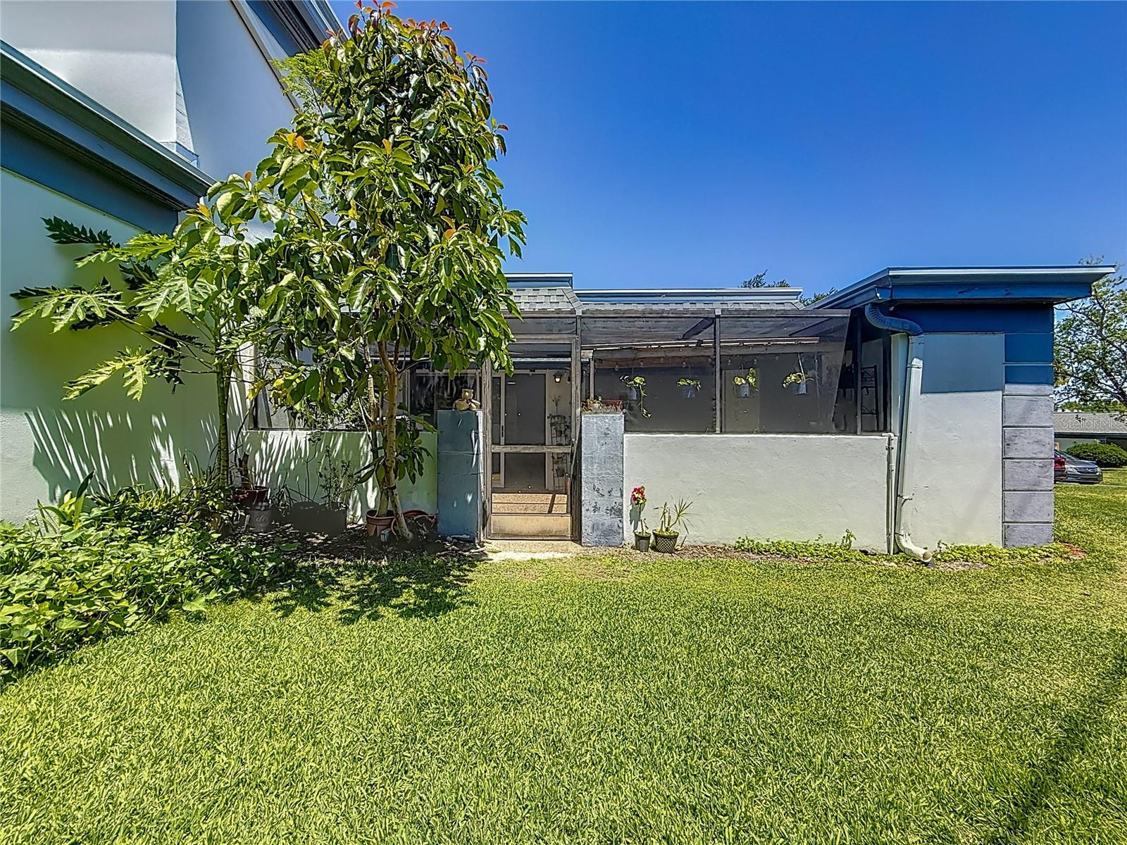 Rear Green Space