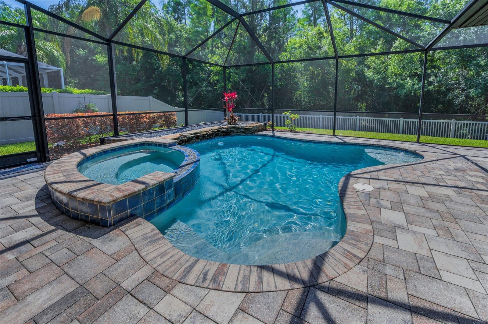 Sparkling Pool and spill over Spa
