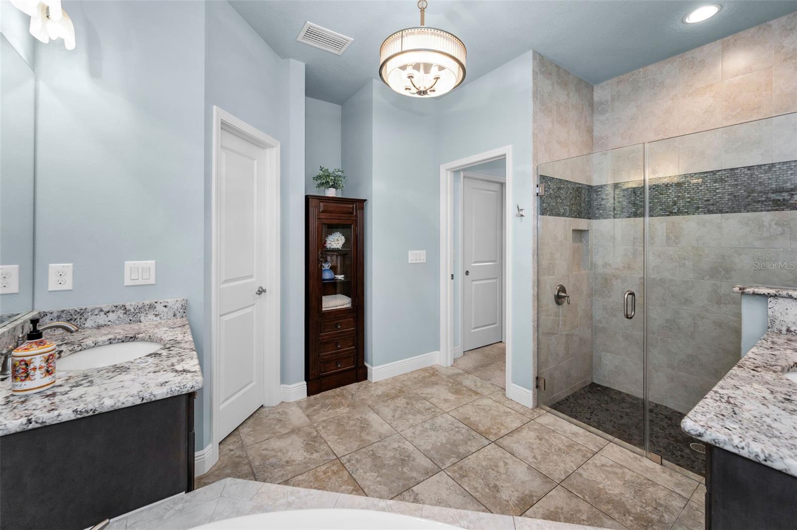 Primary Suite bathroom - built in nice - private commode closet