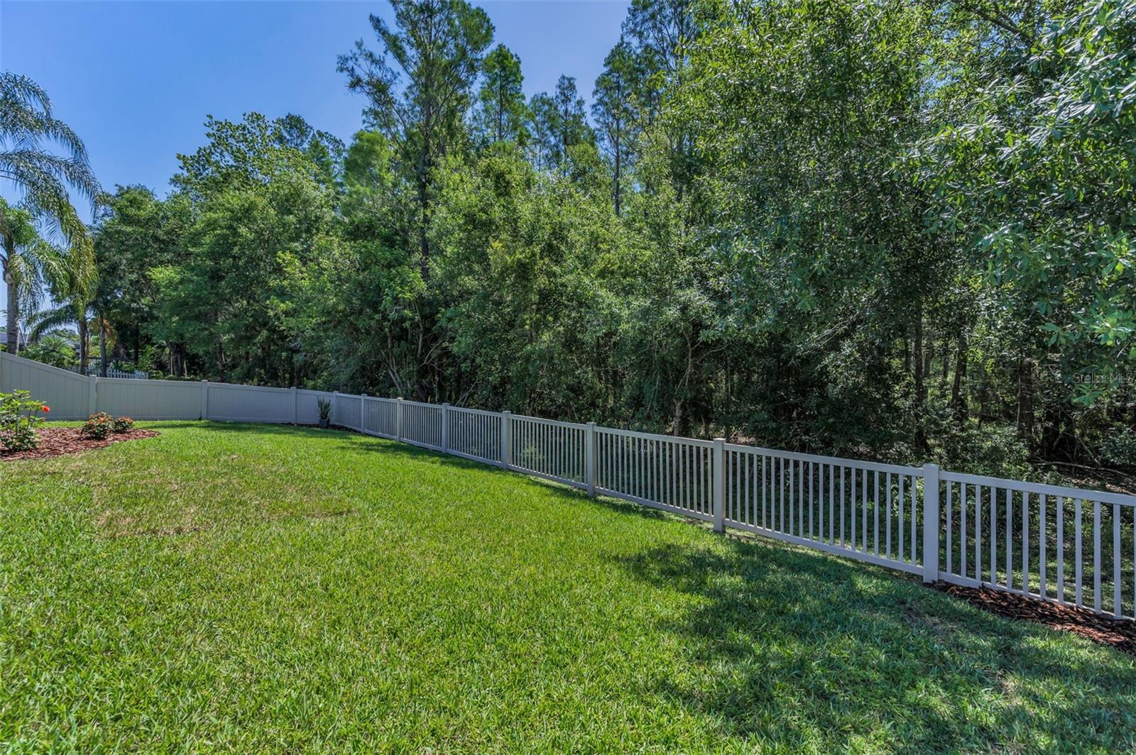 Fenced in Backyard