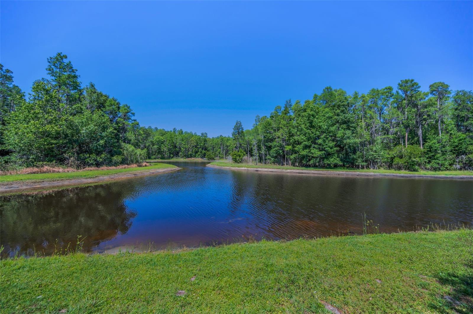Community pond views across
