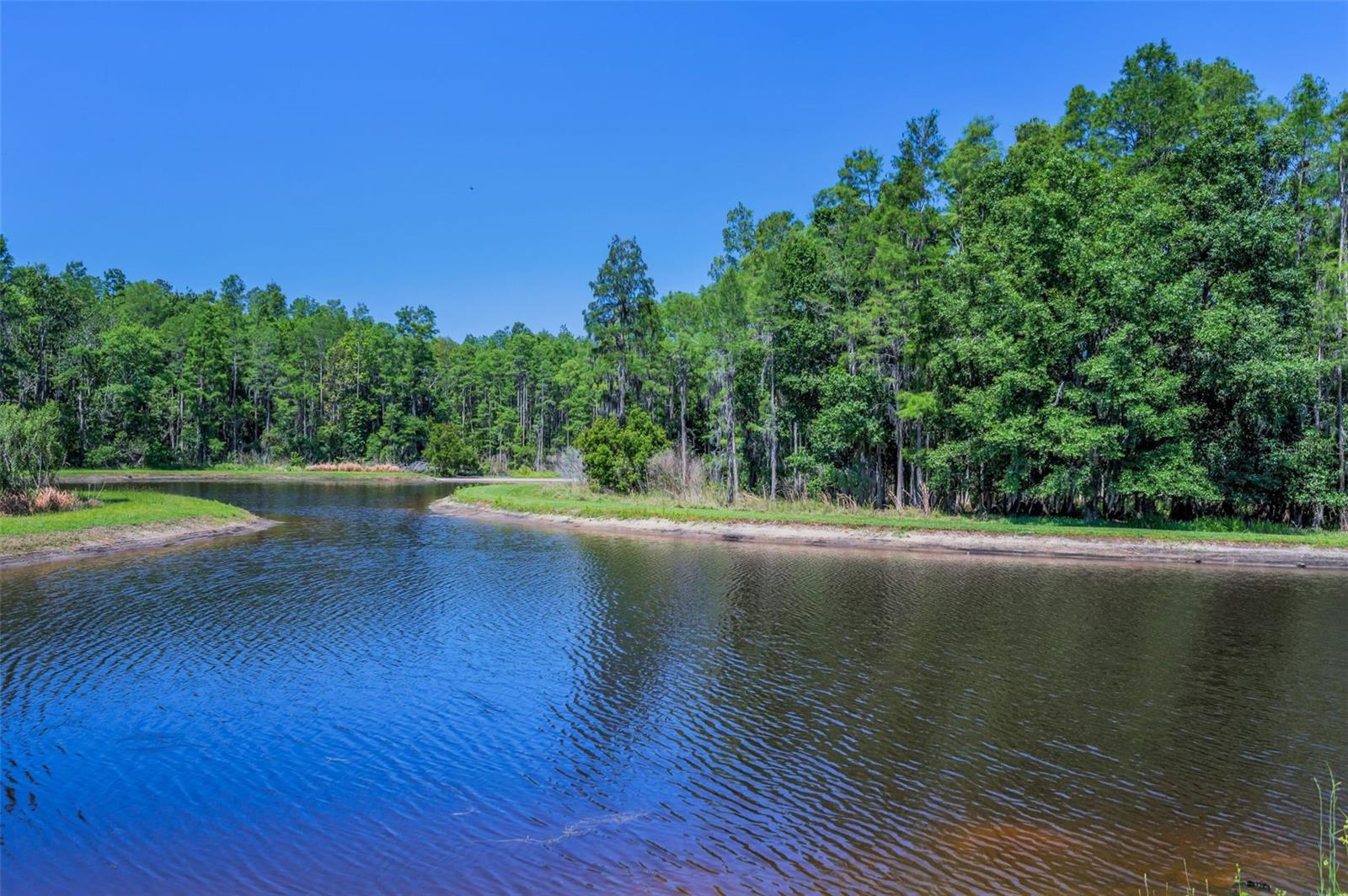 Trinity East community pond