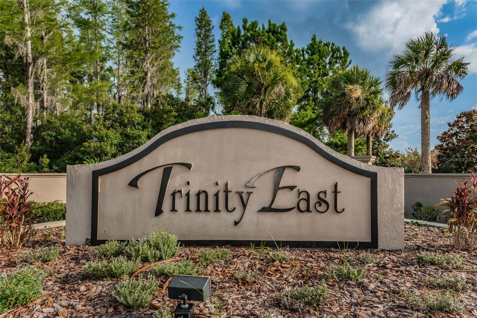 Gated Trinity East Community