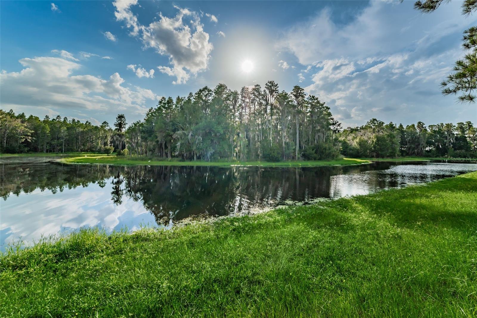 Trinity East community pond