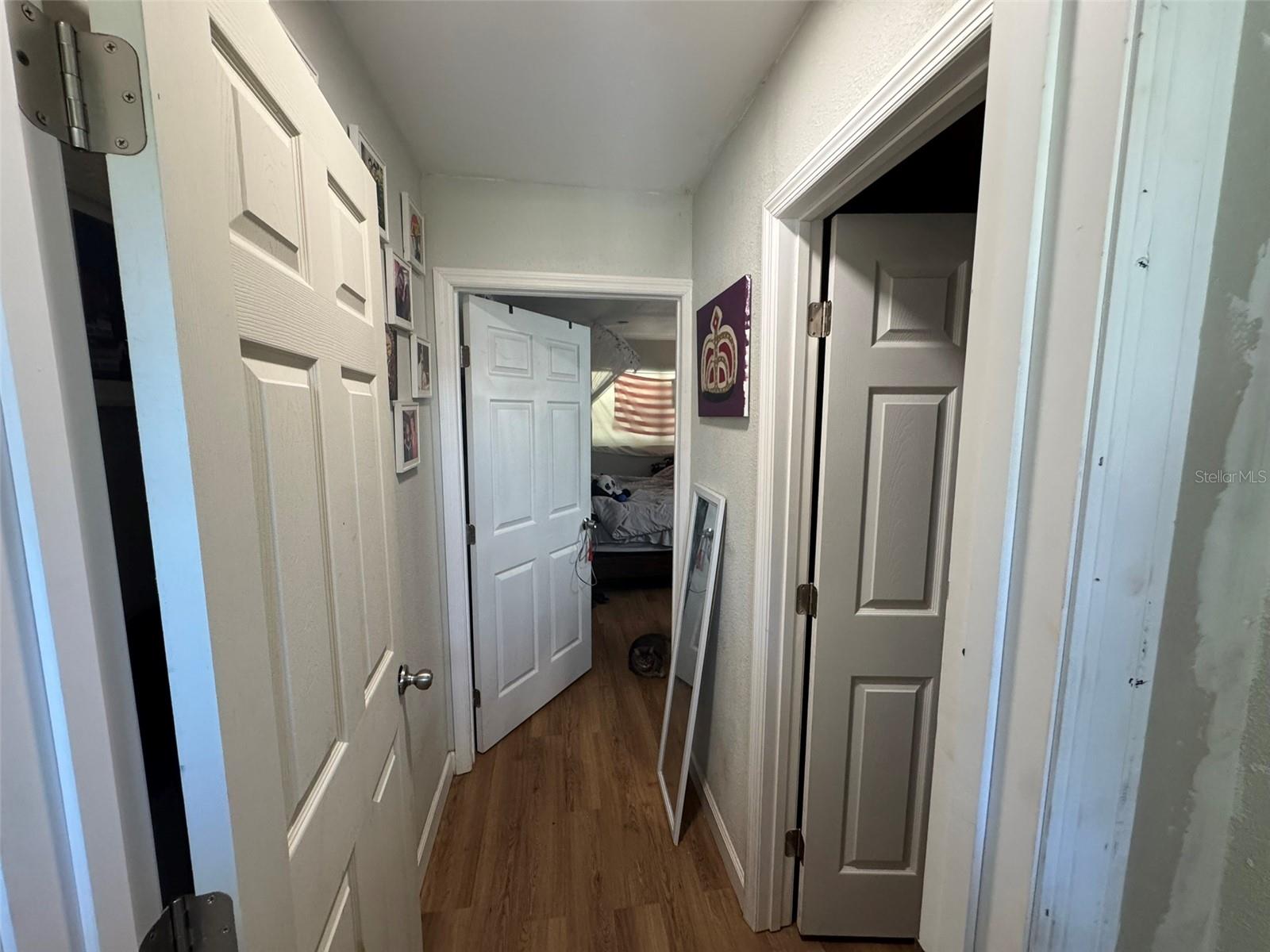 Hallway to Primary Bedroom and Bathroom