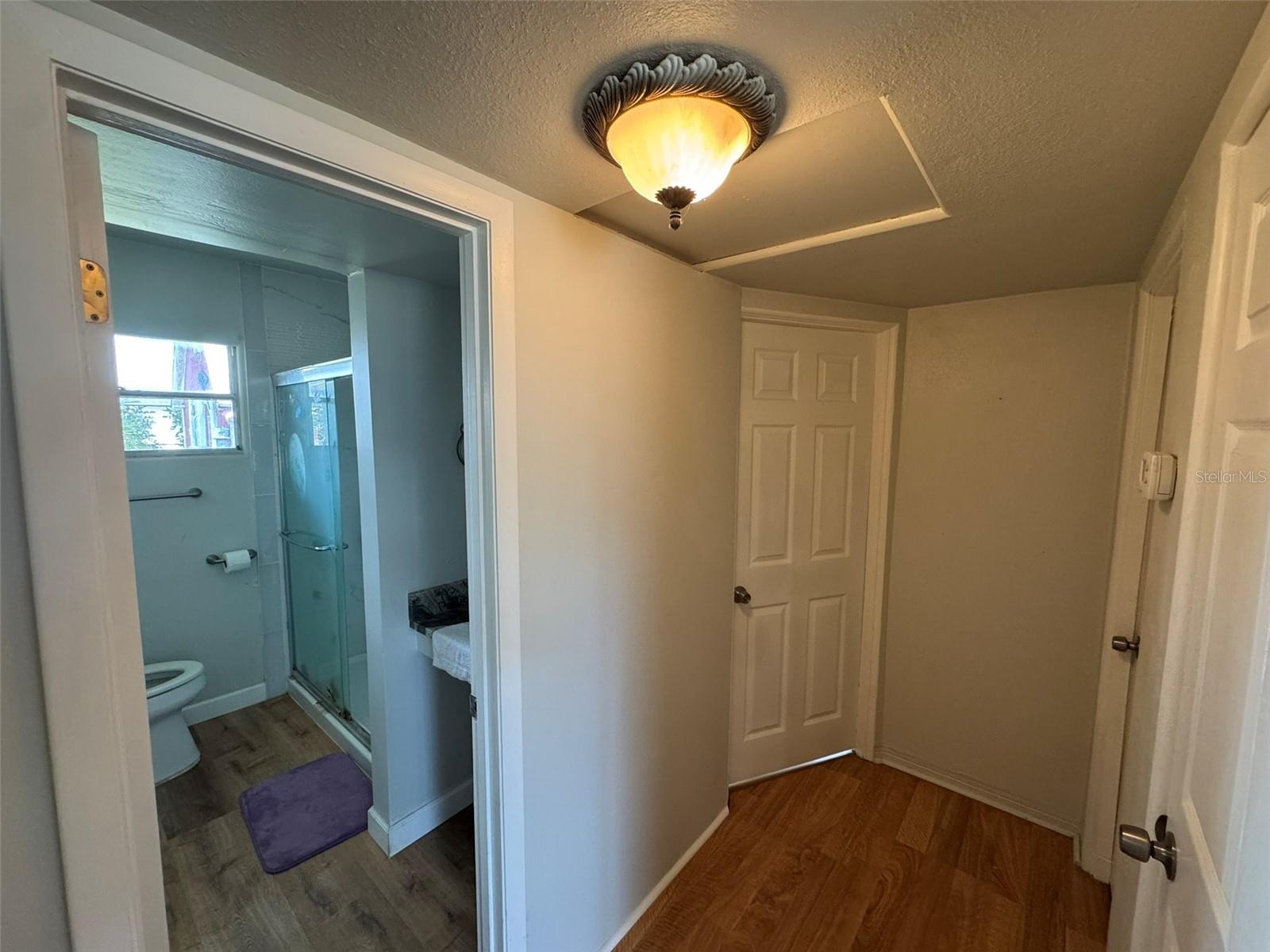 Bathroom + Hallway