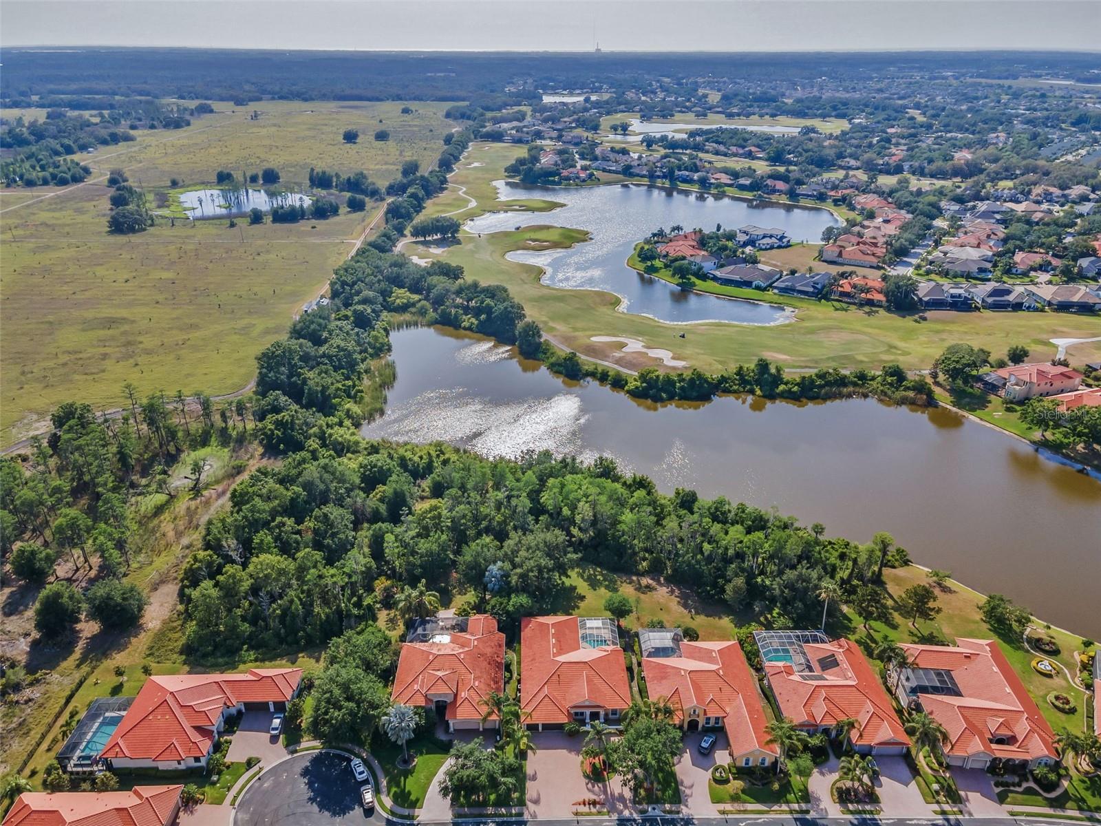 W7874831
