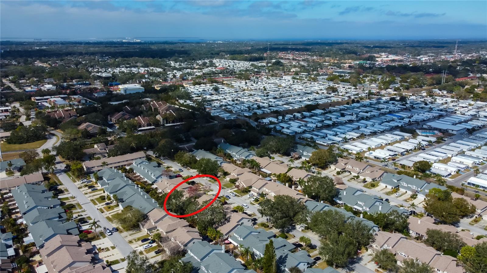 59. Looking Northward into Palm Harbor..