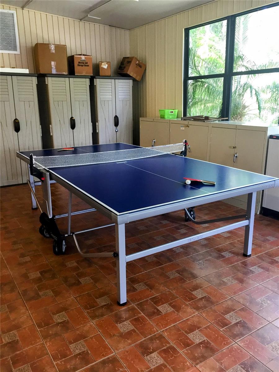 Ping Pong at the Lodge