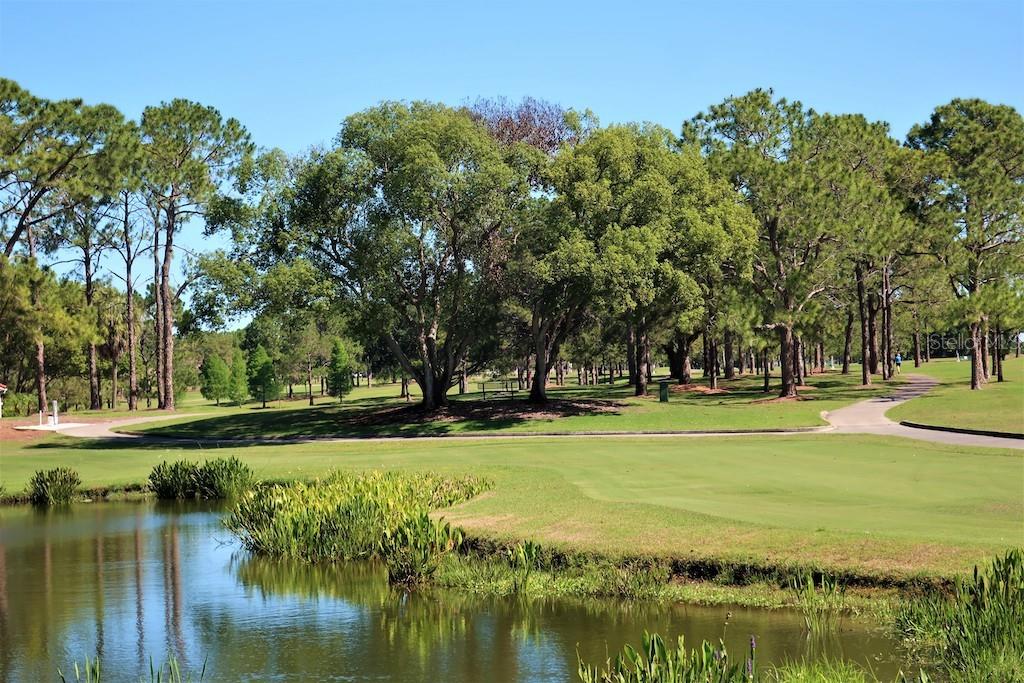 challenging water hole