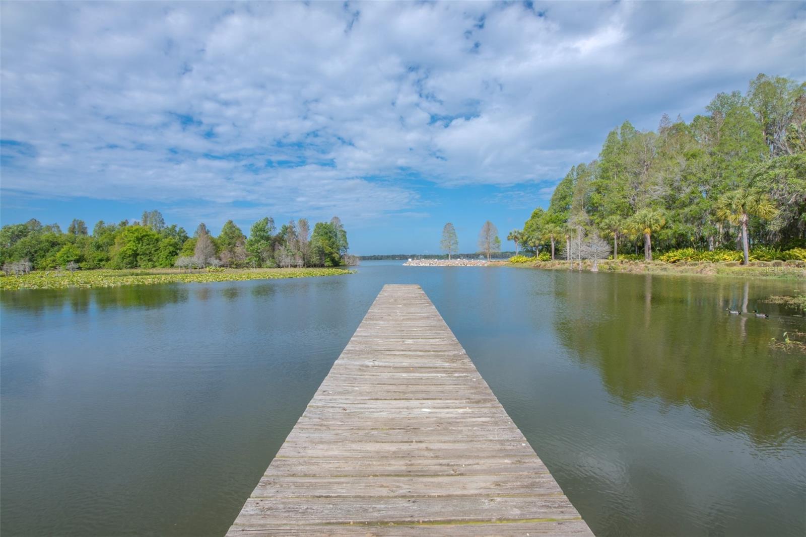 Community Boat Dock