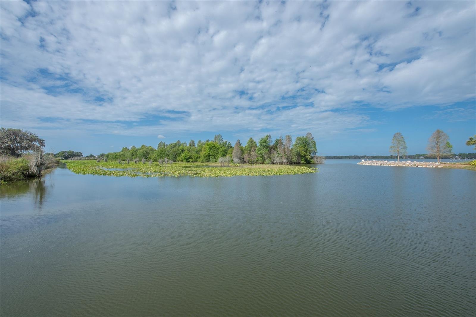 Lake Thonotosassa Ski Lake 880 Acres