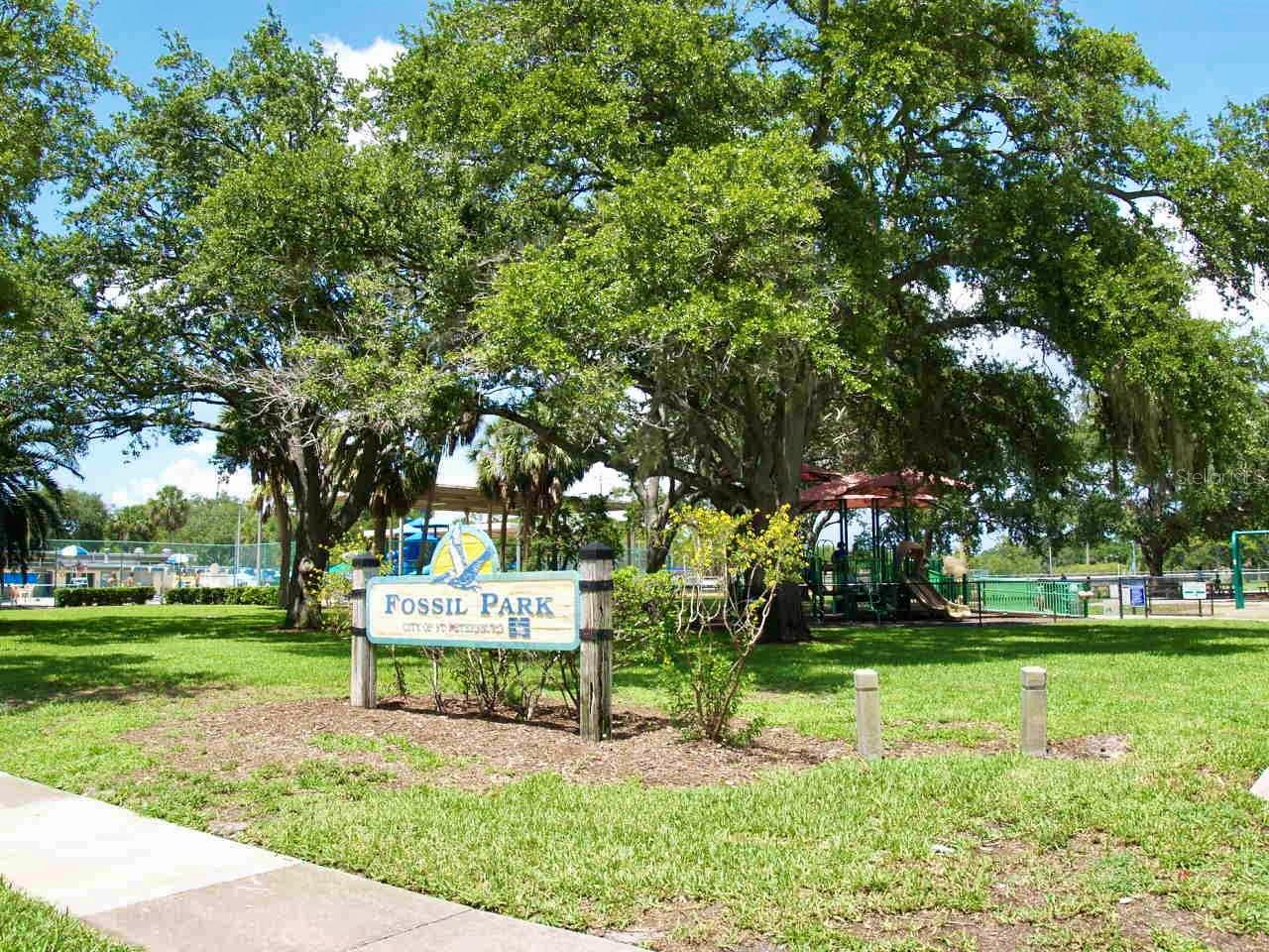 Near by Fossil Park