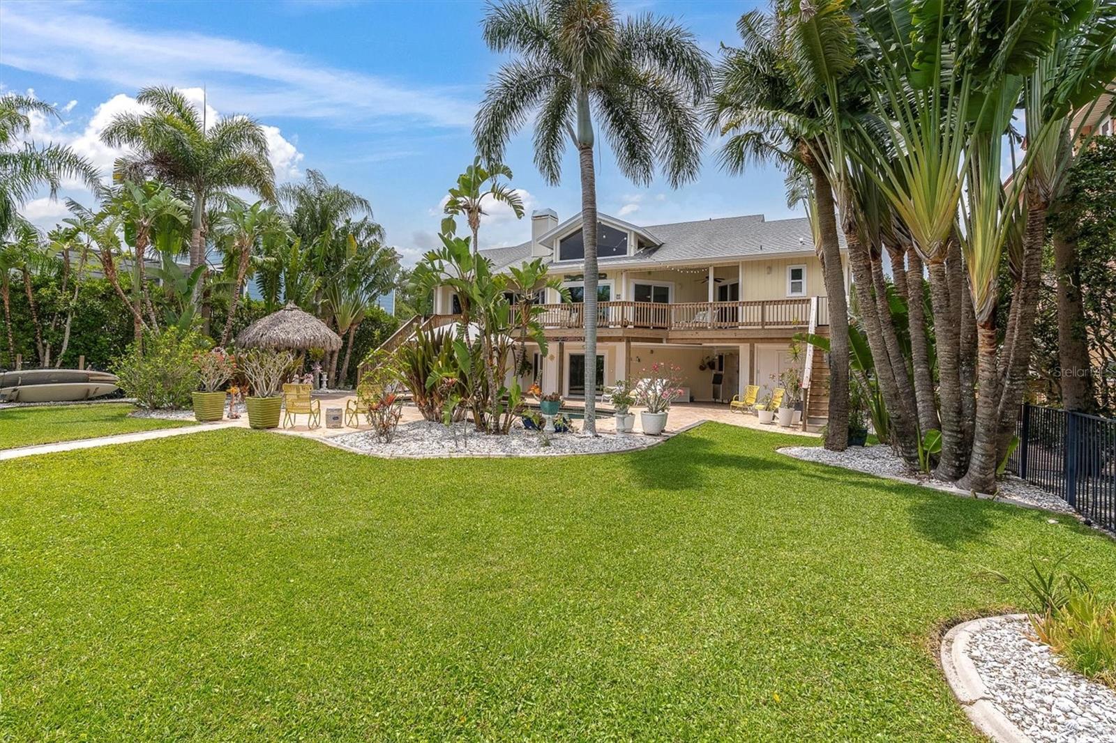 Tropical backyard