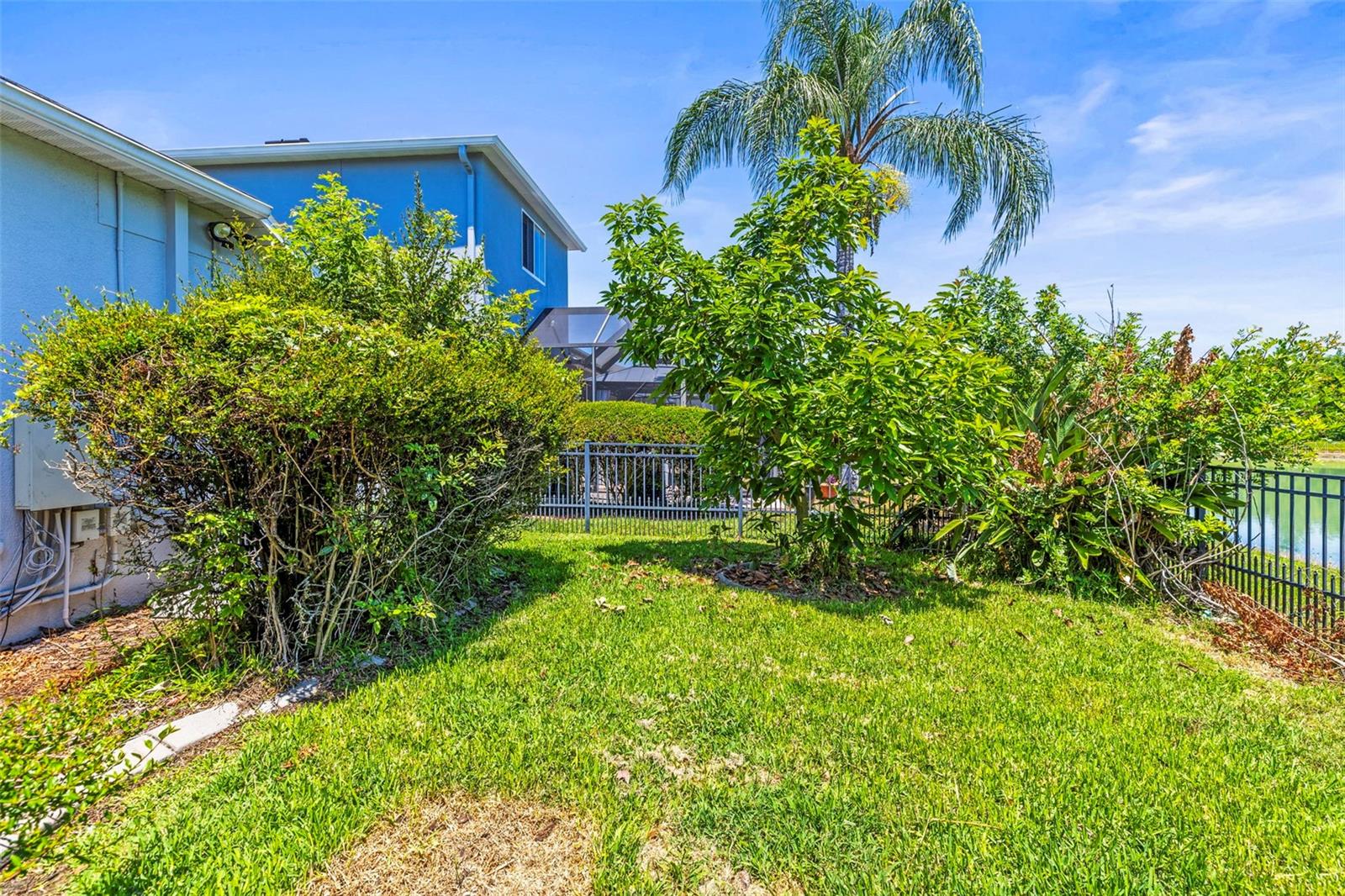 Fenced in back yard