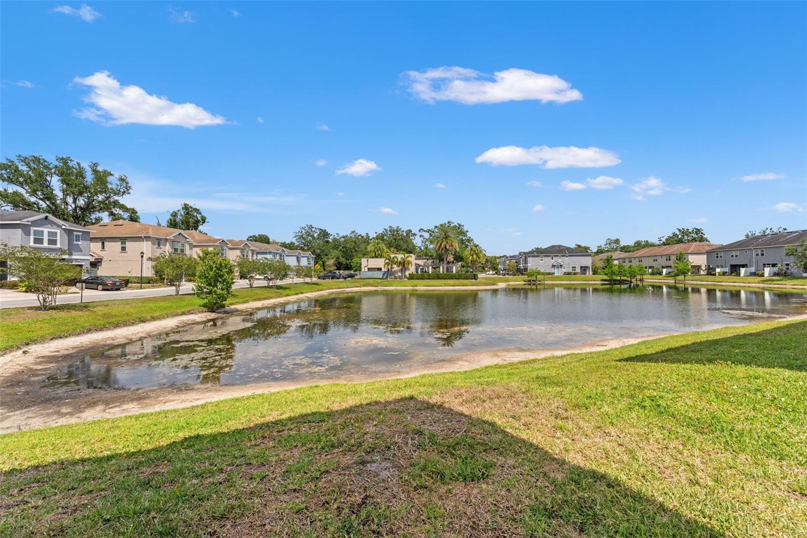 pond view