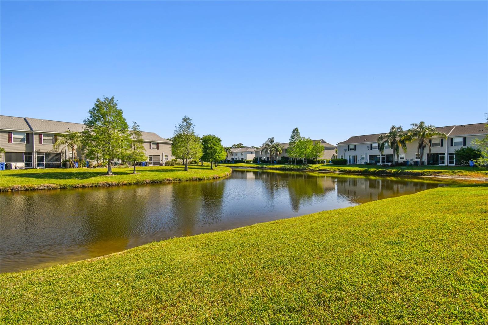View of Pond from Back Lanai