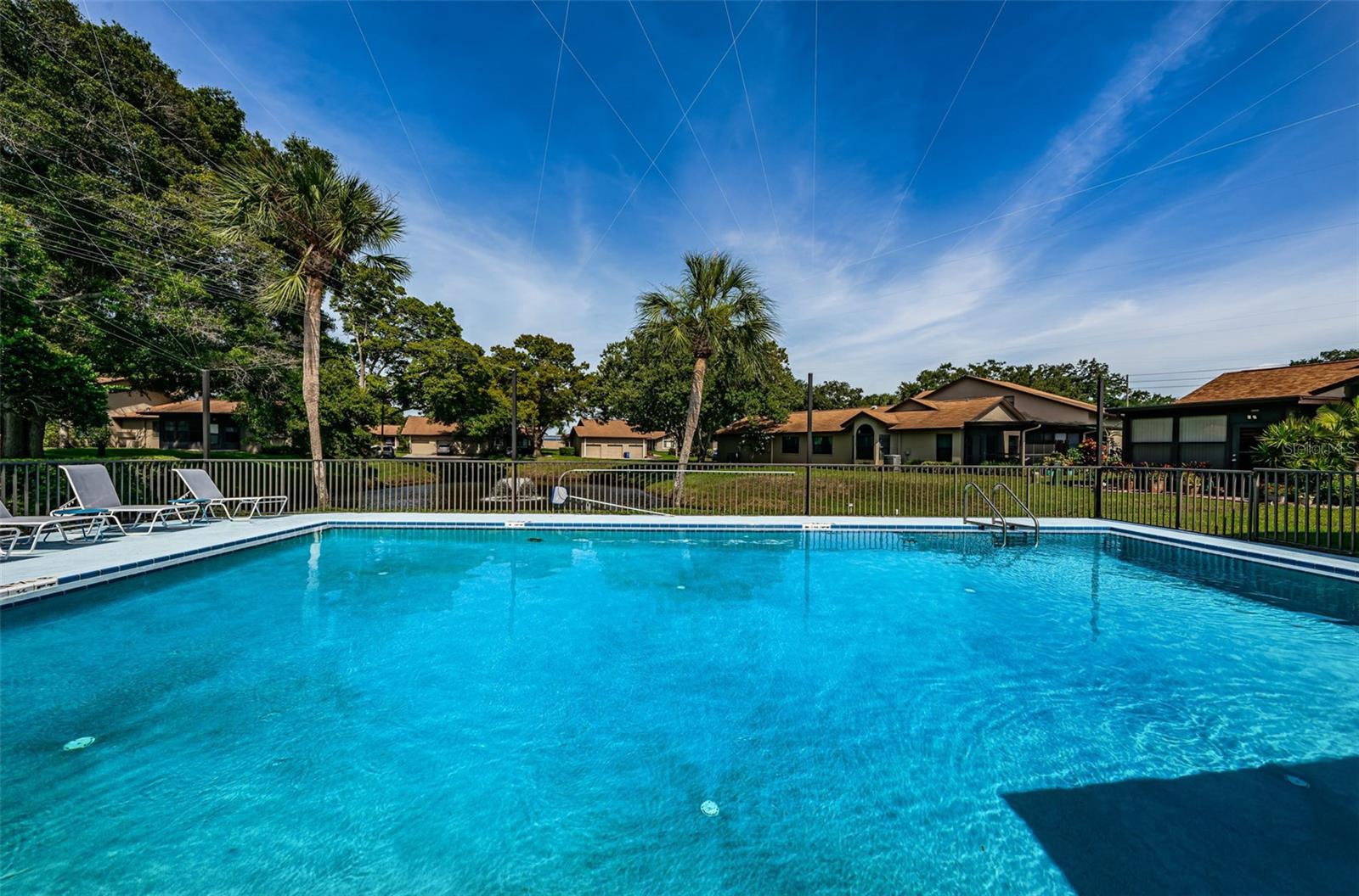 Pond behind the pool