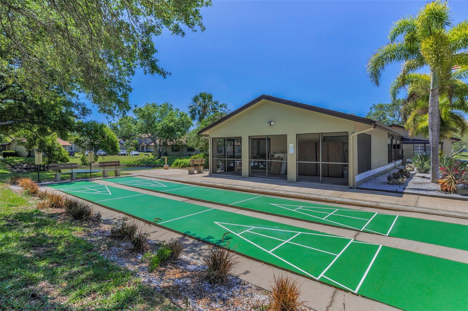 Shuffleboard