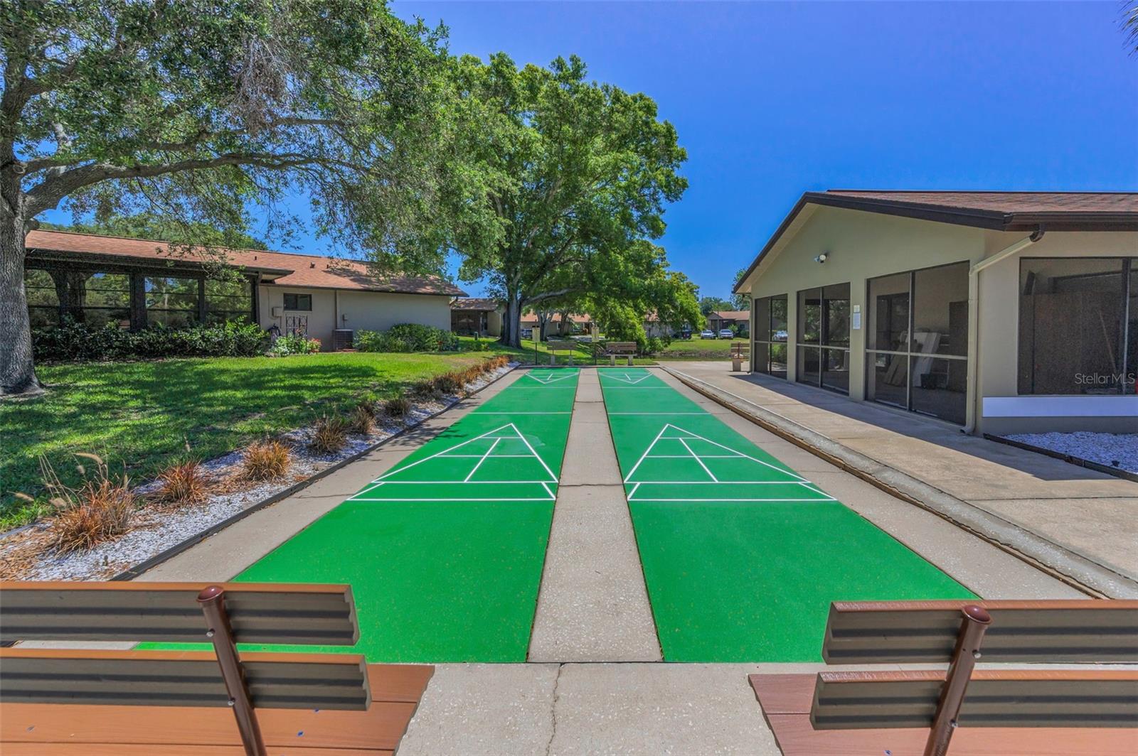 Shuffleboard