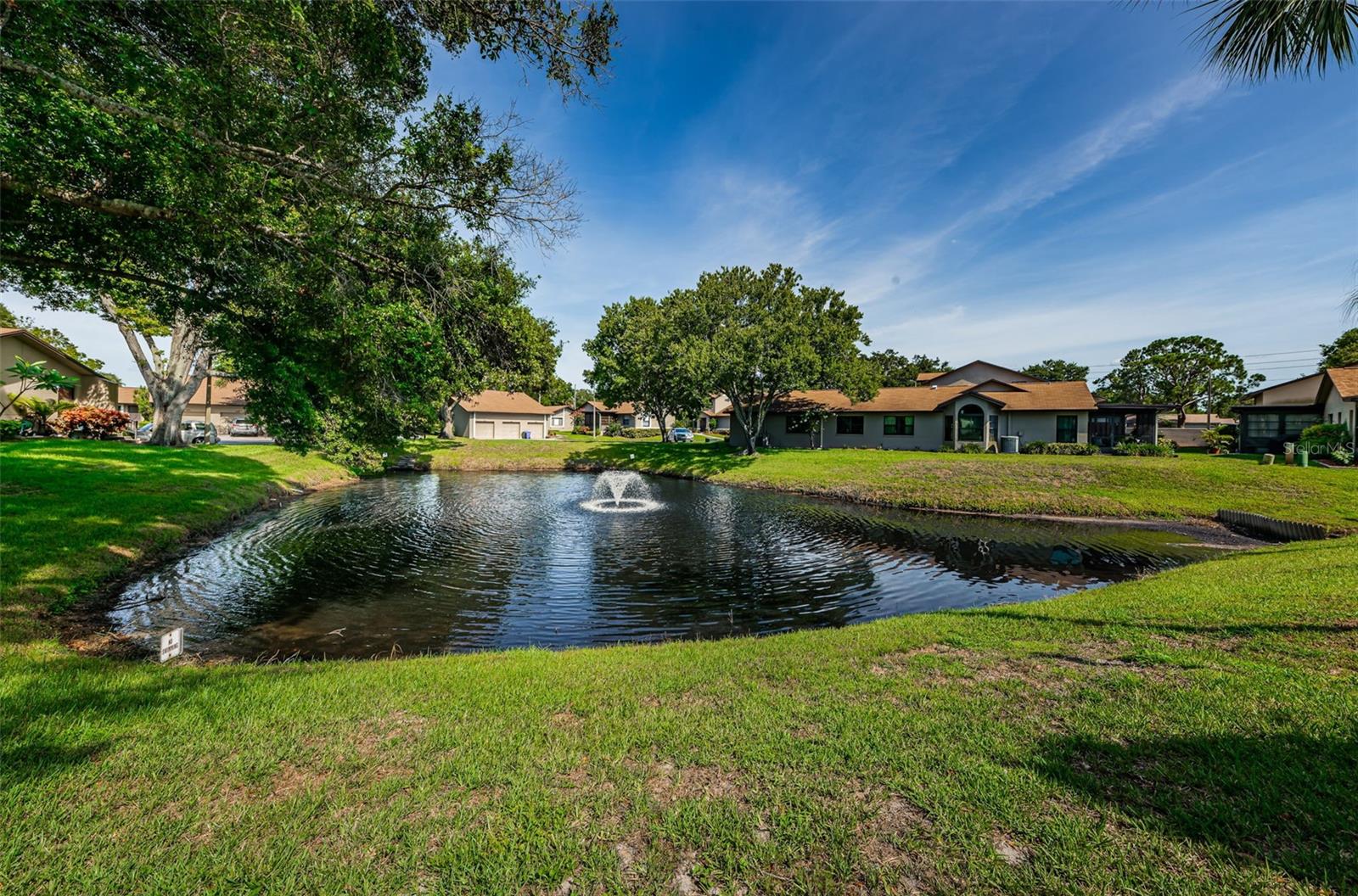 Pond by clubhouse
