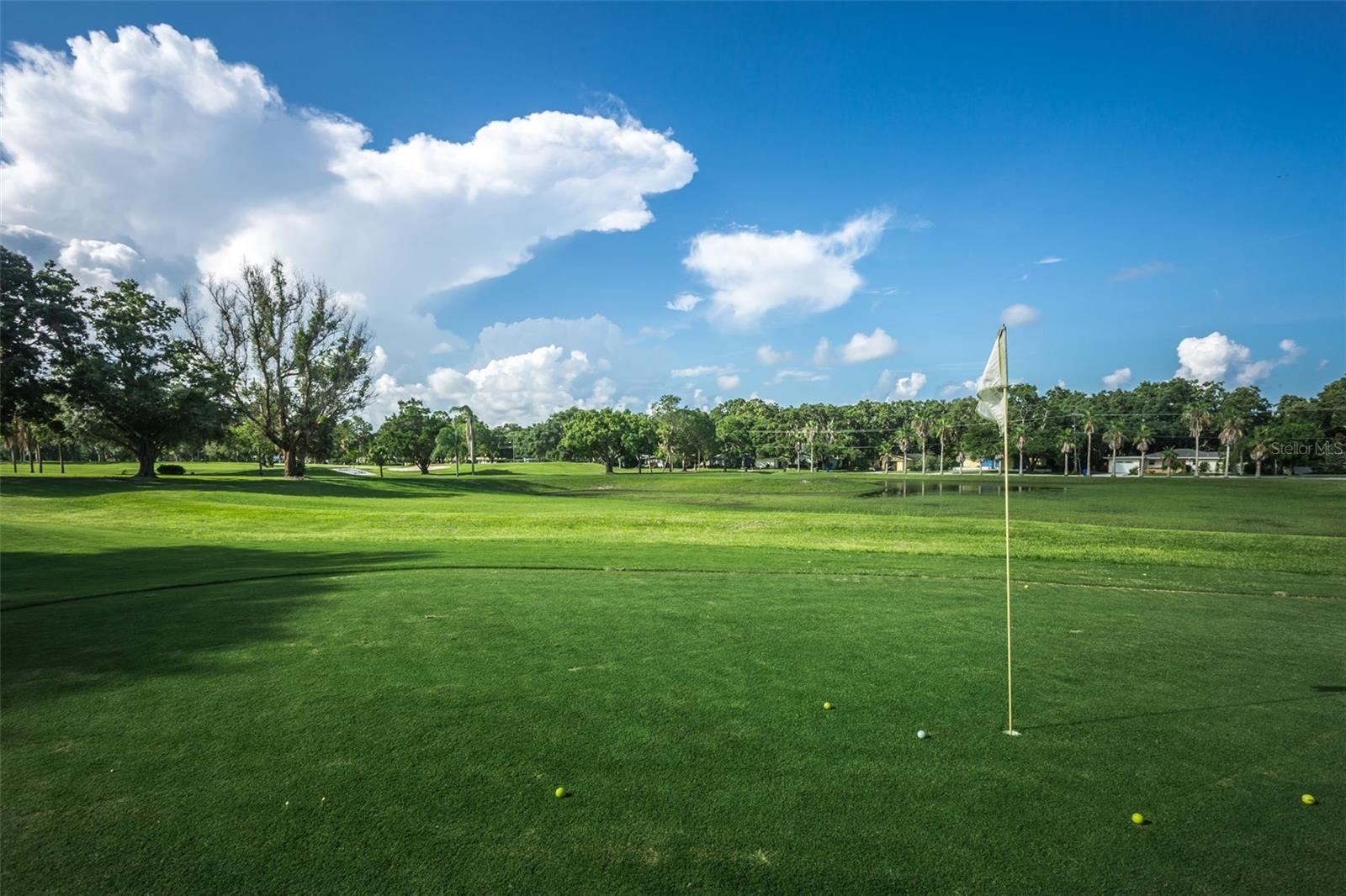 Dunedin Golfcourse