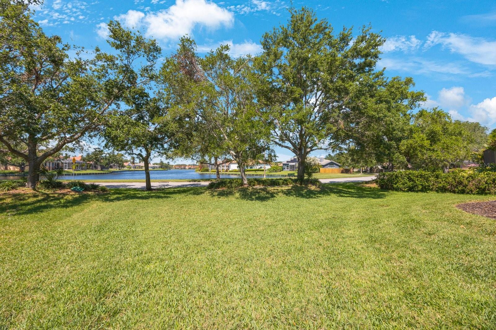 View from standing in the back yard.