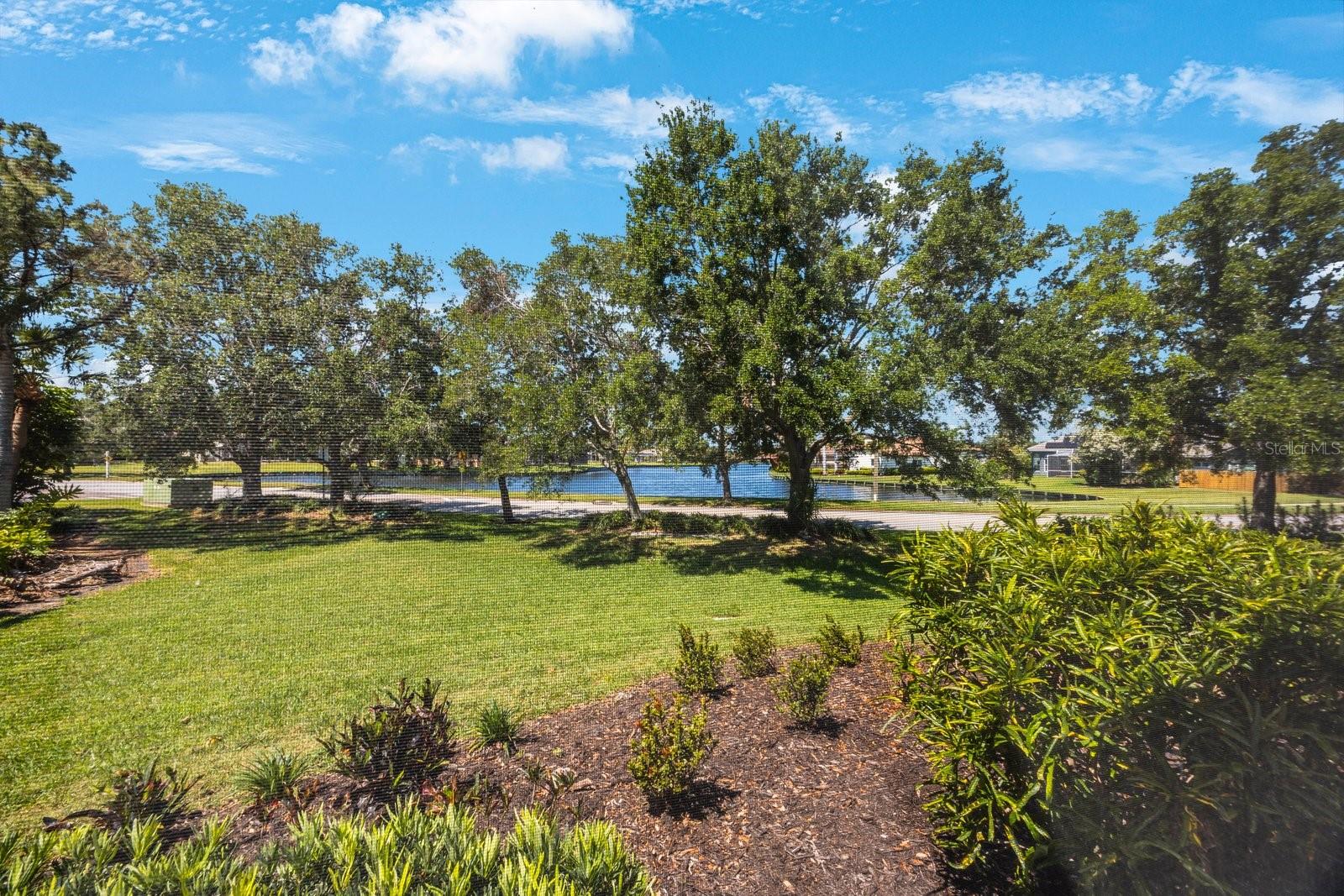 View of the lake from the side yard