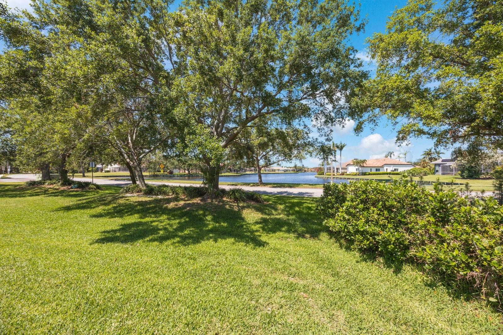 View of the lake from the side yard