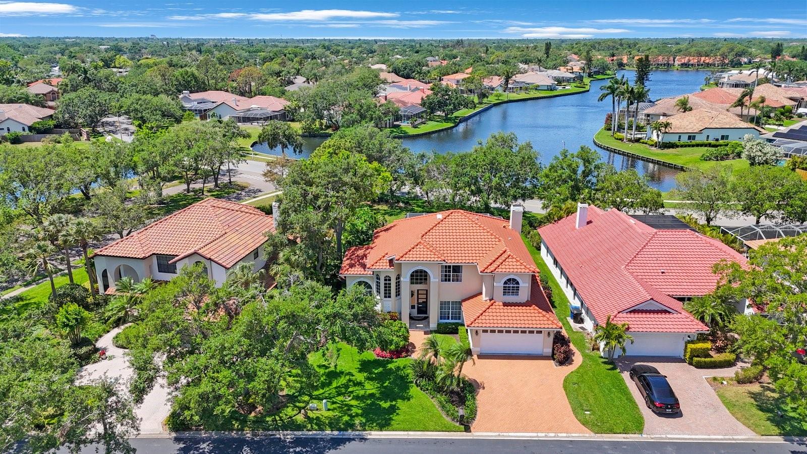 View from the drone