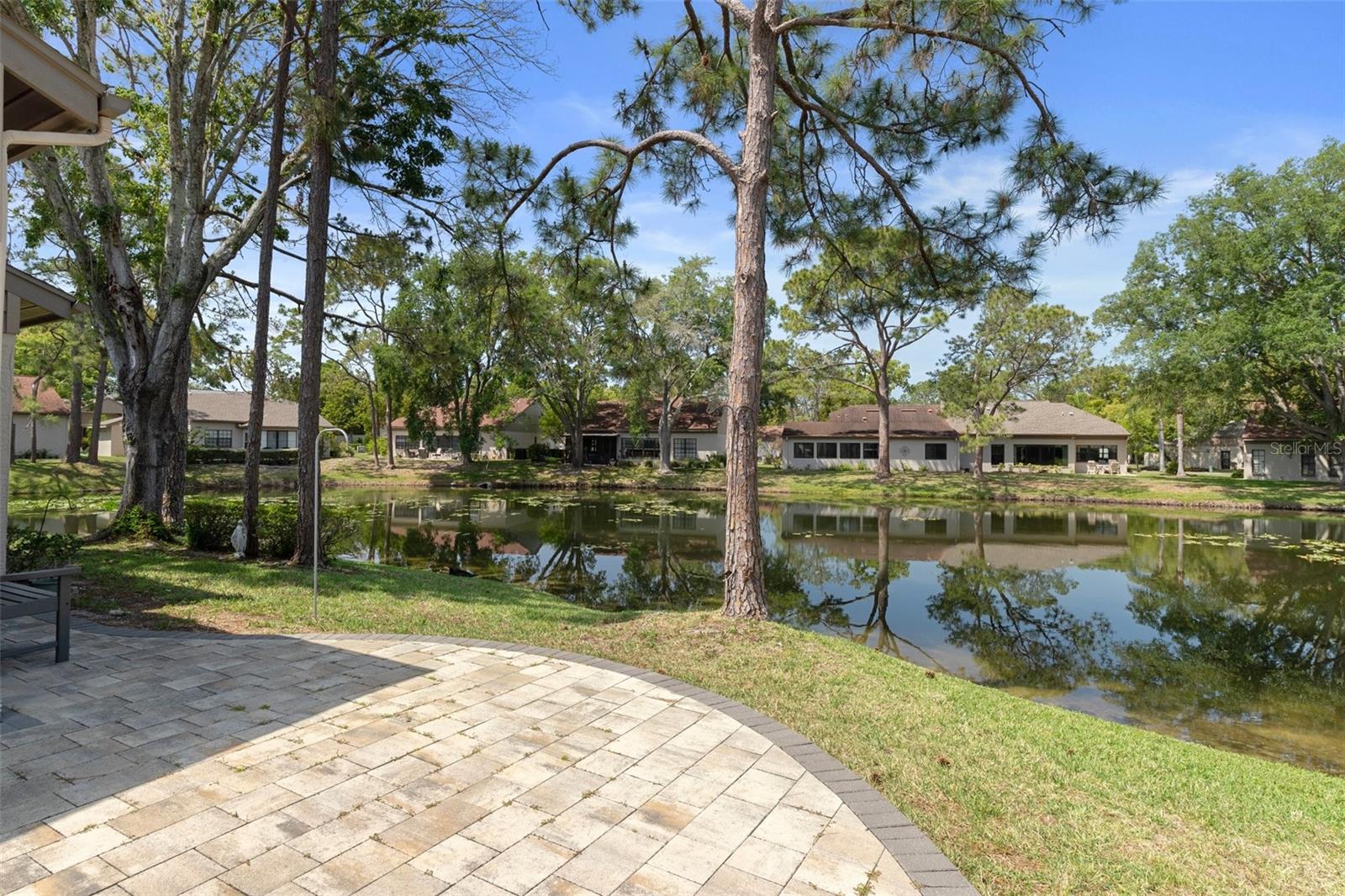 Pond in Back Yard