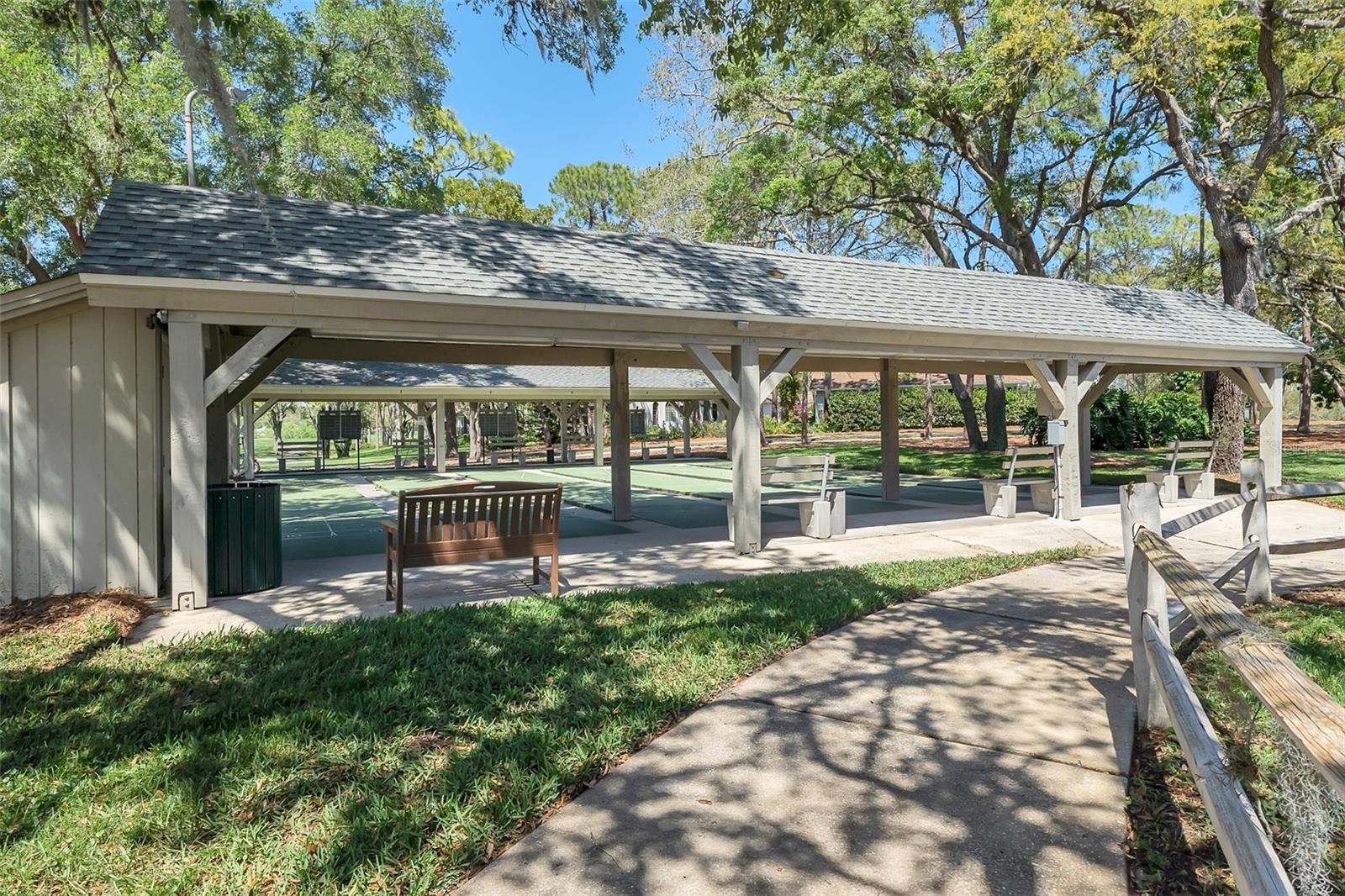 Shuffleboard Court