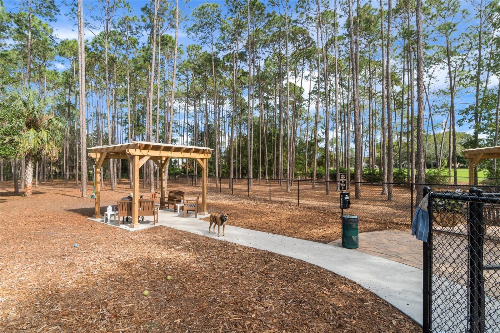 Dog Park