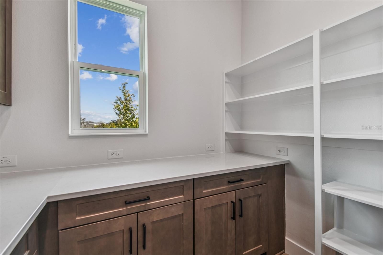 Kitchen Pantry