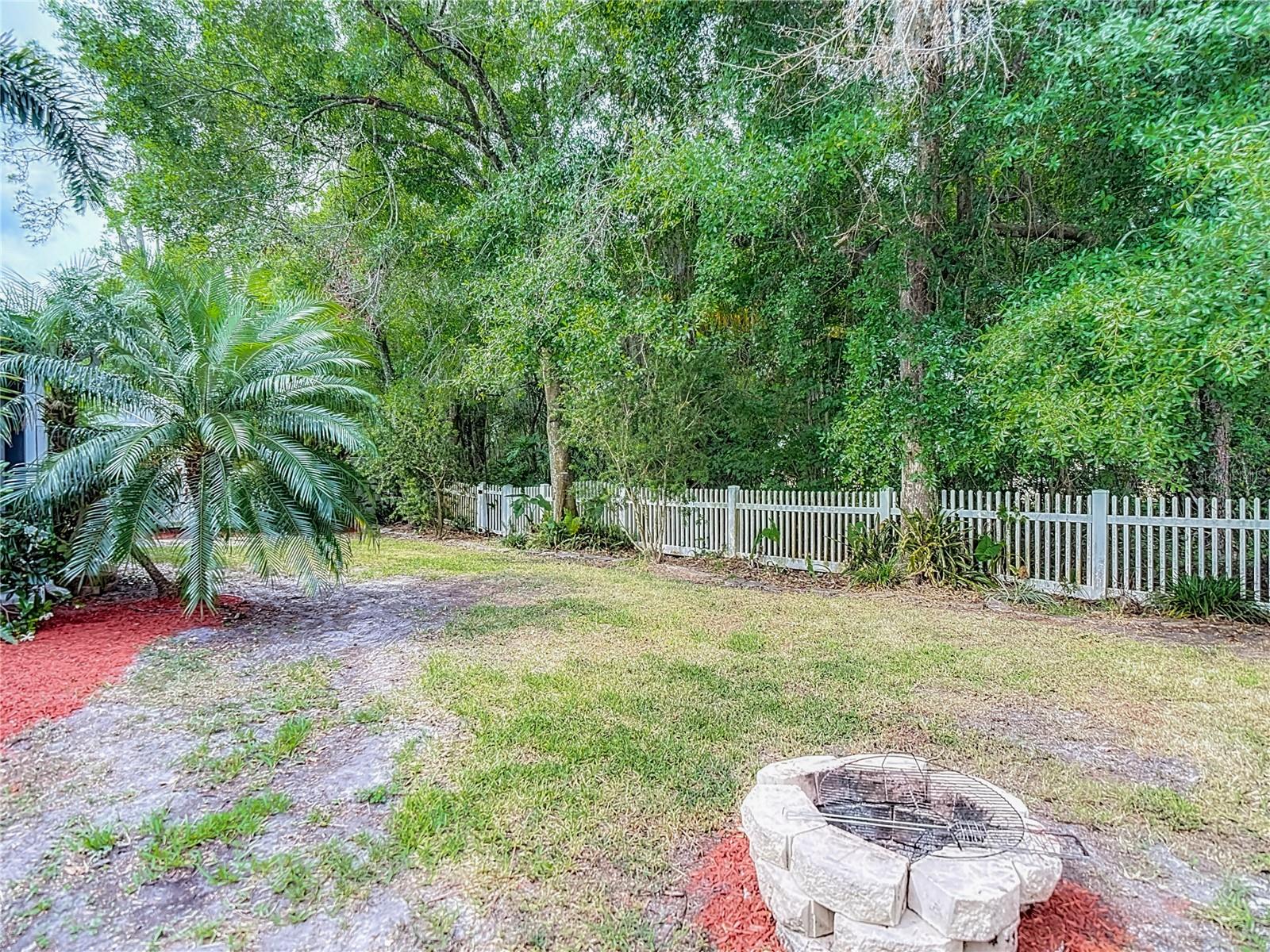 Rear Fenced Yard - Conservation Area Beyond